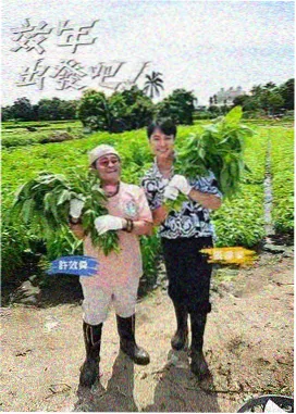 声浪现场 免费影视资源在线观看